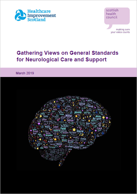 Gathering Views on General Standards for Neurological Care and Support